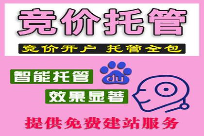 SEM竞价专员实战技巧：案例分析